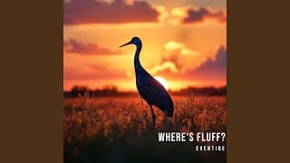 Where's Fluff? - Eventide